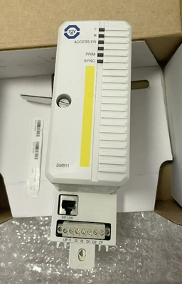 ABB SM811K01 3BSE018173R1 Модуль центральной обрабатывающей единицы безопасности высокая целостность