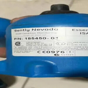 Bally Nevada ISA100 185450-01 Essential Insight.Сетка